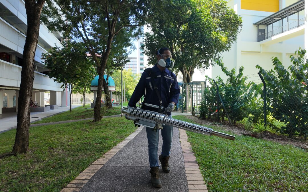 How to Choose the Right Pest Control Company in Singapore