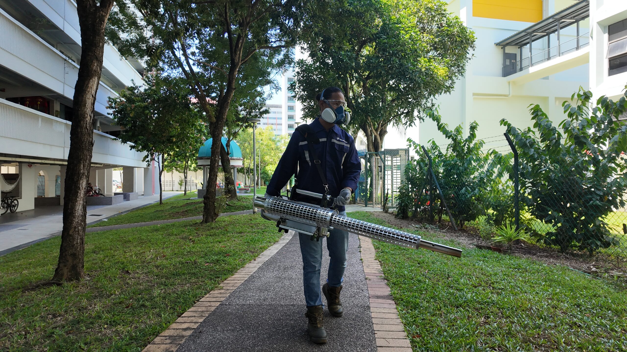 How to Choose the Right Pest Control Company in Singapore