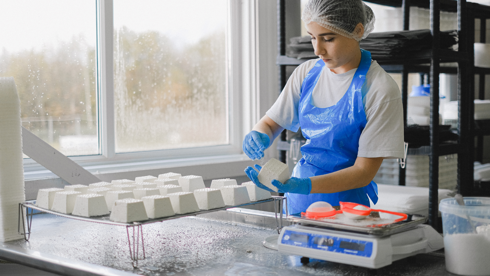 food manufacturing pest control